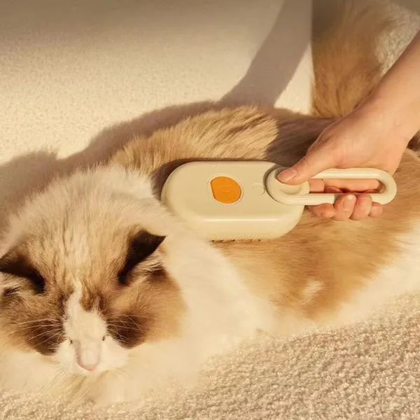Detalhe da escova a vapor para remo&ccedil;&atilde;o de pelos de c&atilde;es e gatos